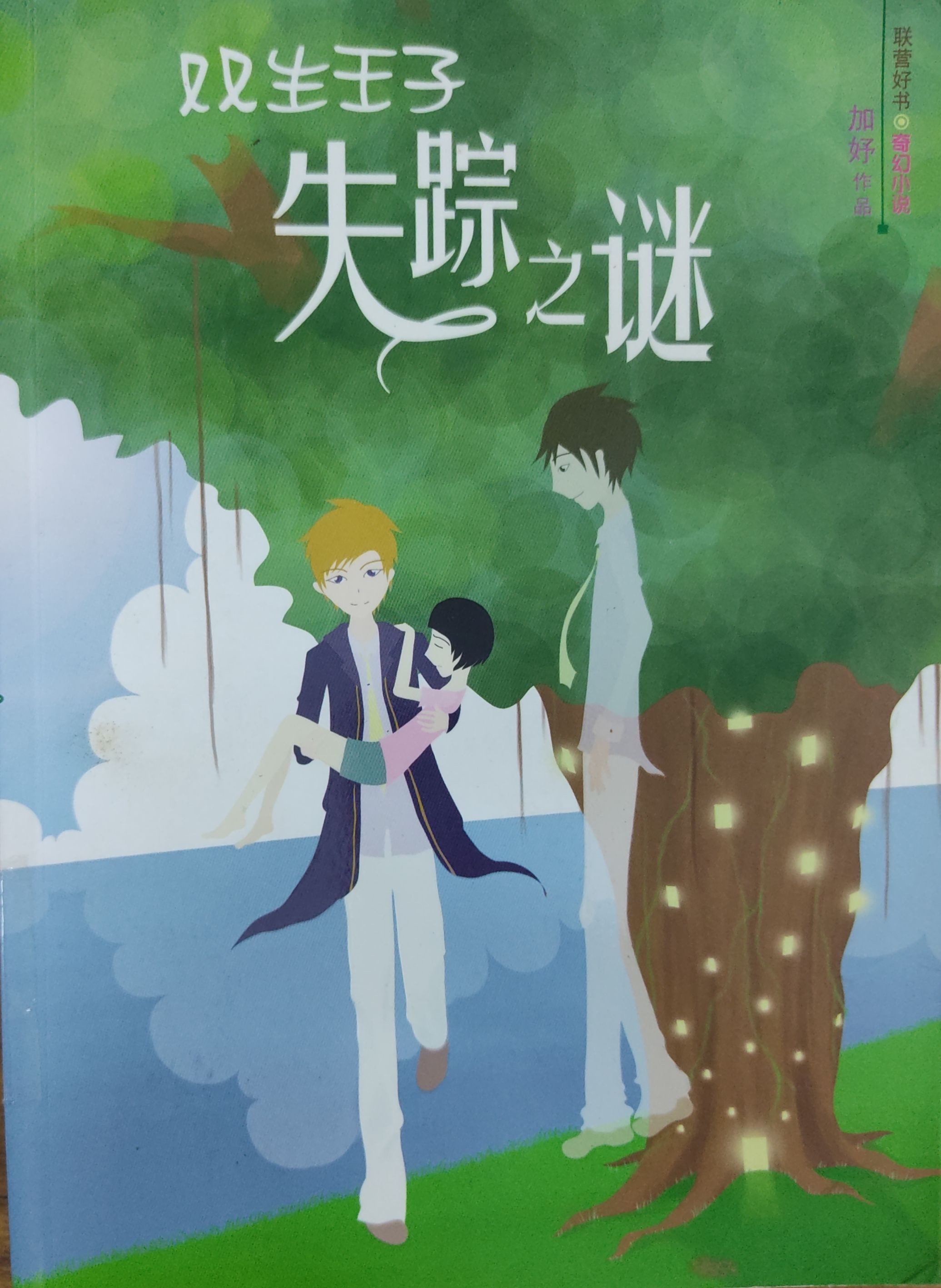 双子王子失踪之谜